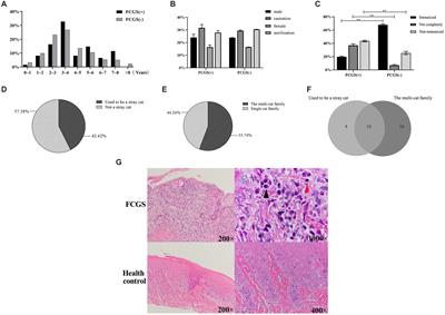 Epidemiological investigation of feline chronic gingivostomatitis and its relationship with oral microbiota in Xi’an, China